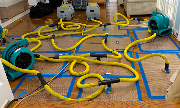 Professional Crawl Space Water Removal technician working in Grandview, OH